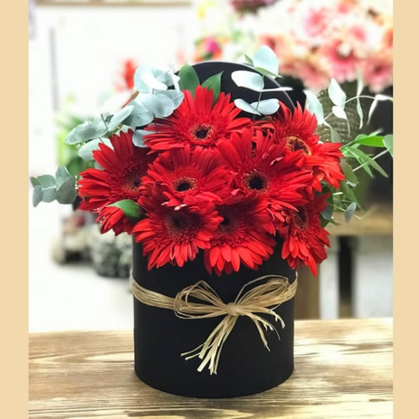  Burdur Çiçek Kutuda Kırmızı Gerbera Çiçekleri