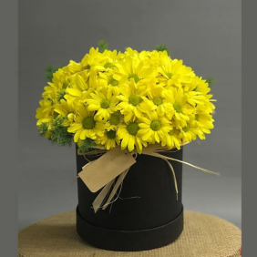  Burdur Çiçek Siparişi Kutuda Sarı Papatya Aranjmanı
