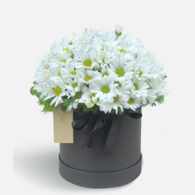  Burdur Çiçek Gönder Kutuda Beyaz Papatyalar